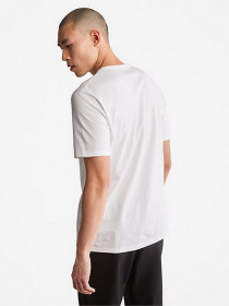 Футболка Timberland Mountains-To-Rivers модель TB0A2N1H100 Фото