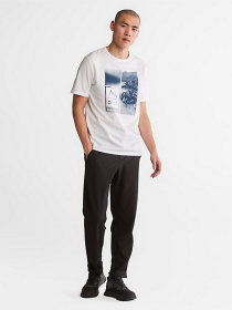 Футболка Timberland Mountains-To-Rivers модель TB0A2N1H100 Фото