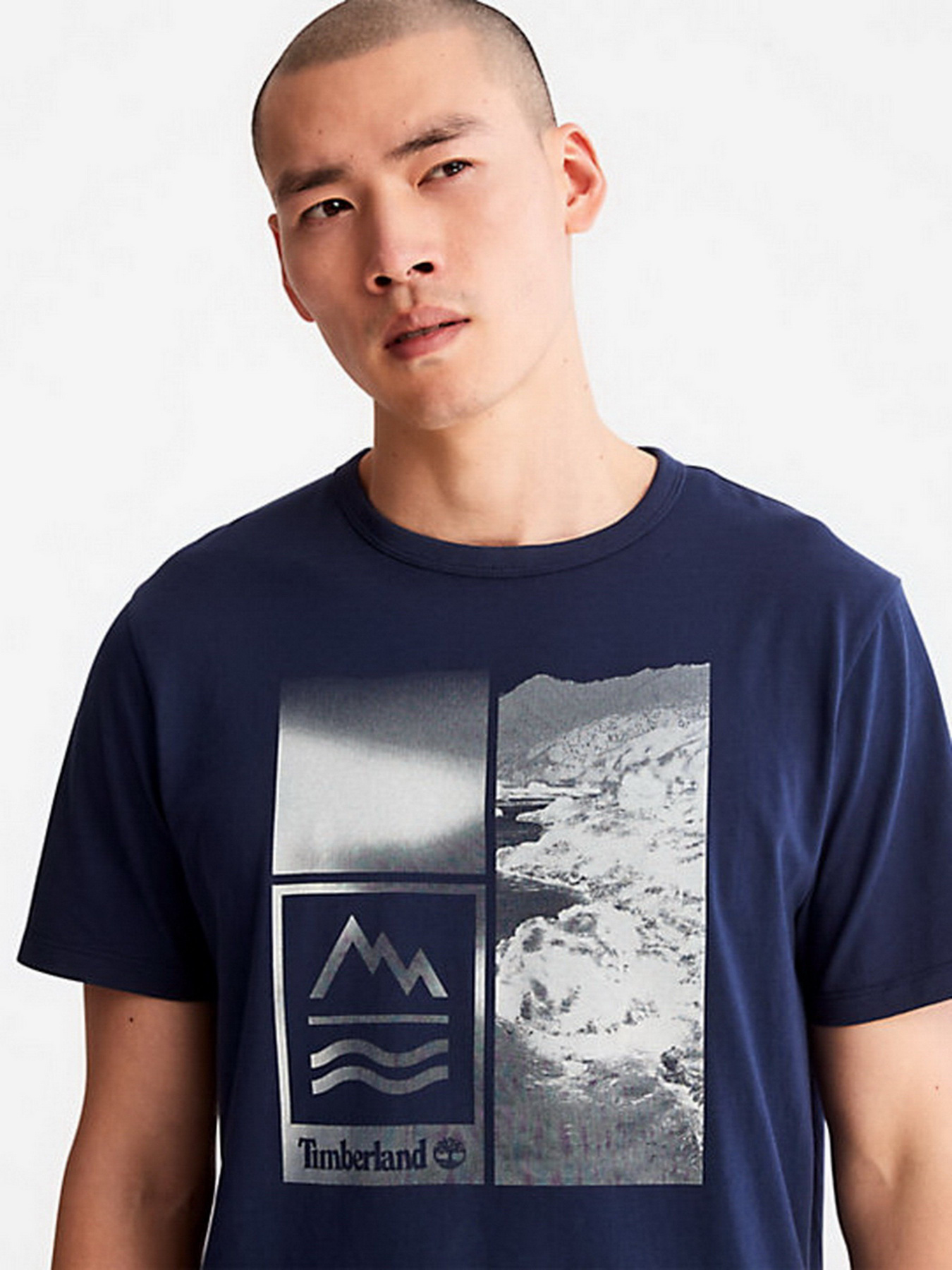 Футболки і поло Timberland Mountains-To-Rivers модель TB0A2N1H451 Фото