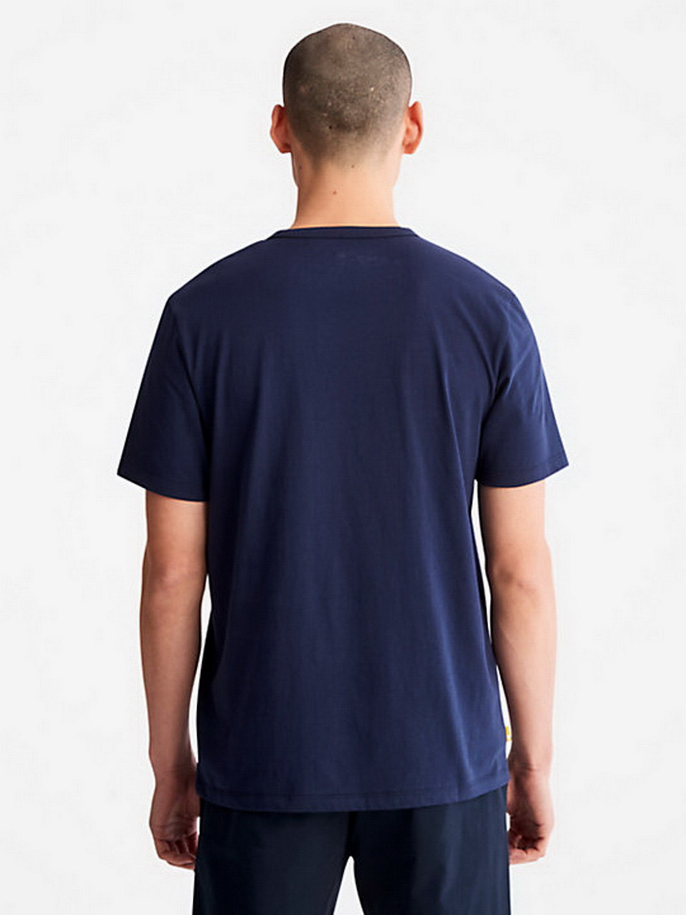 Футболки і поло Timberland Mountains-To-Rivers модель TB0A2N1H451 Фото