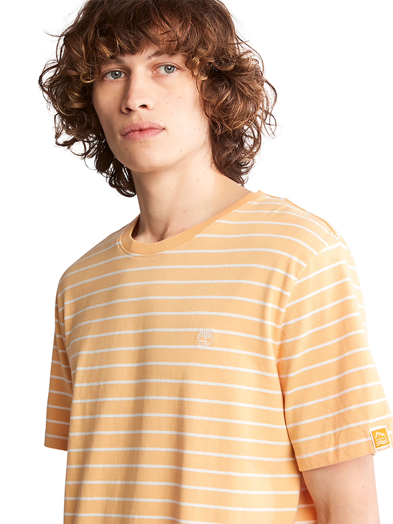 Футболка Timberland Timberchill модель TB0A2N8ECM6 Фото