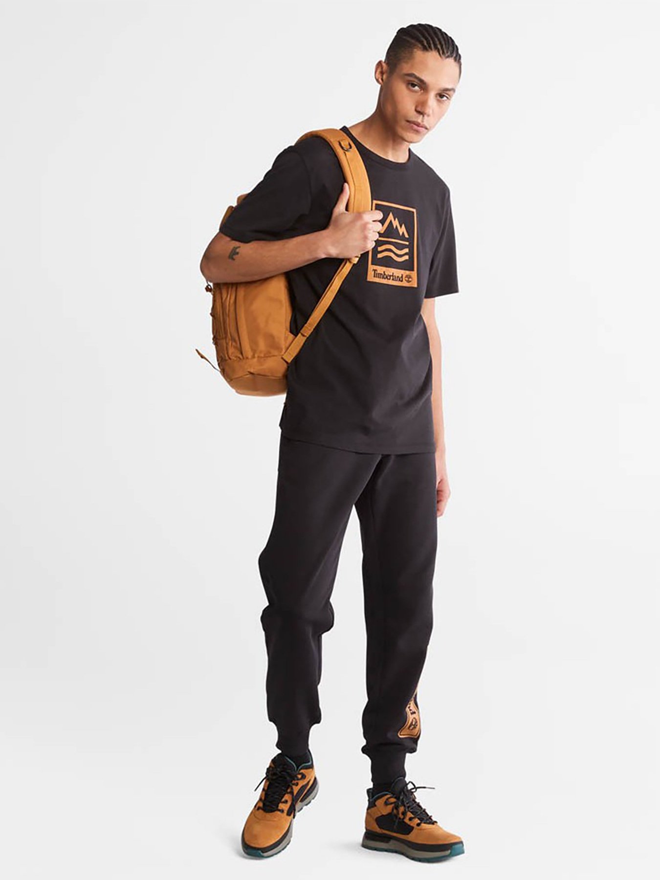 Футболка Timberland MOUNTAINS-TO-RIVERS модель TB0A2ND1001 Фото