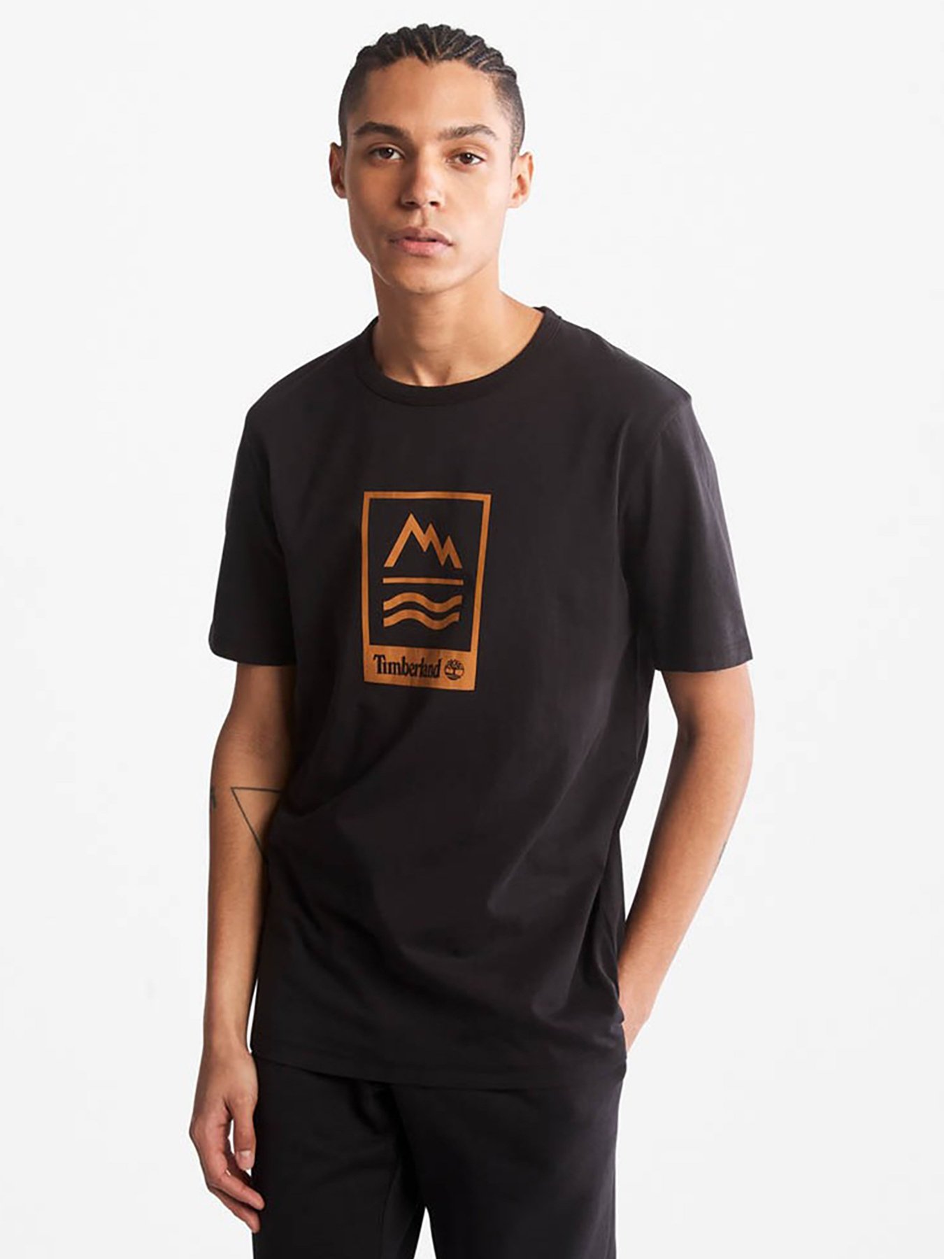 Футболка Timberland MOUNTAINS-TO-RIVERS модель TB0A2ND1001 Фото