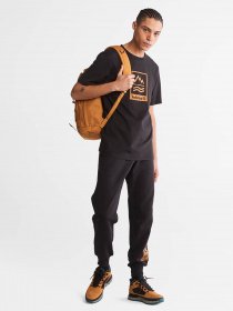 Футболка Timberland MOUNTAINS-TO-RIVERS модель TB0A2ND1001 Фото