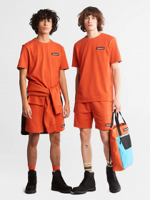 Футболка Timberland Heavyweight Badge модель TB0A26S7CL7 Фото