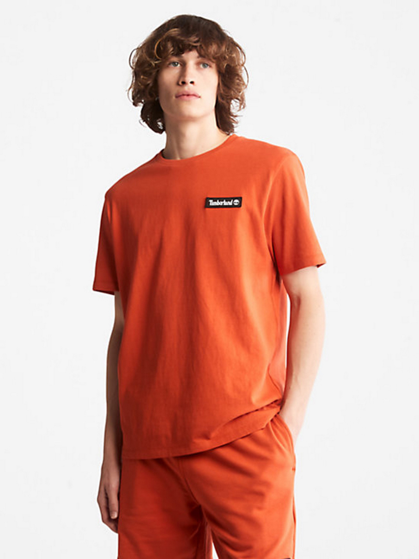 Футболка Timberland Heavyweight Badge модель TB0A26S7CL7 Фото