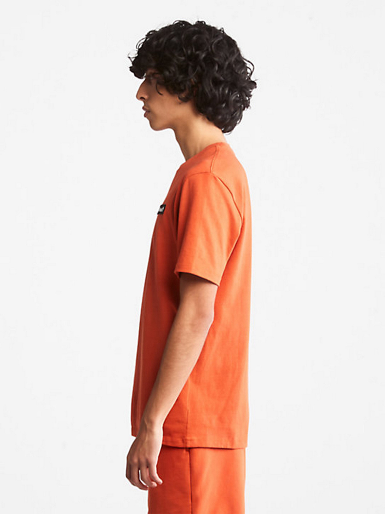 Футболка Timberland Heavyweight Badge модель TB0A26S7CL7 Фото