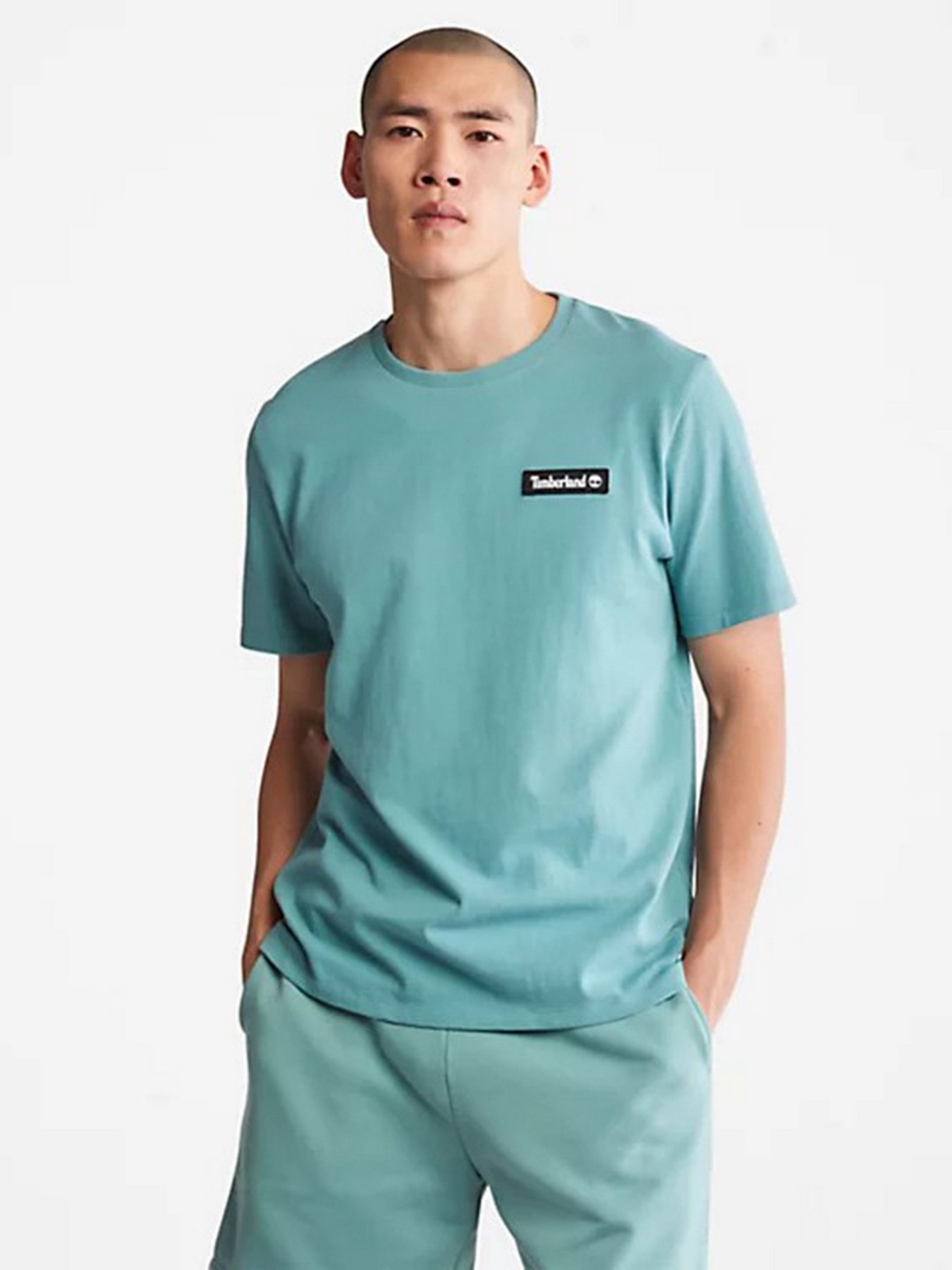 Футболки и поло Timberland Heavyweight Badge модель TB0A26S7G99 Футболки и поло Timberland Heavyweight Badge модель TB0A26S7G99 Фото