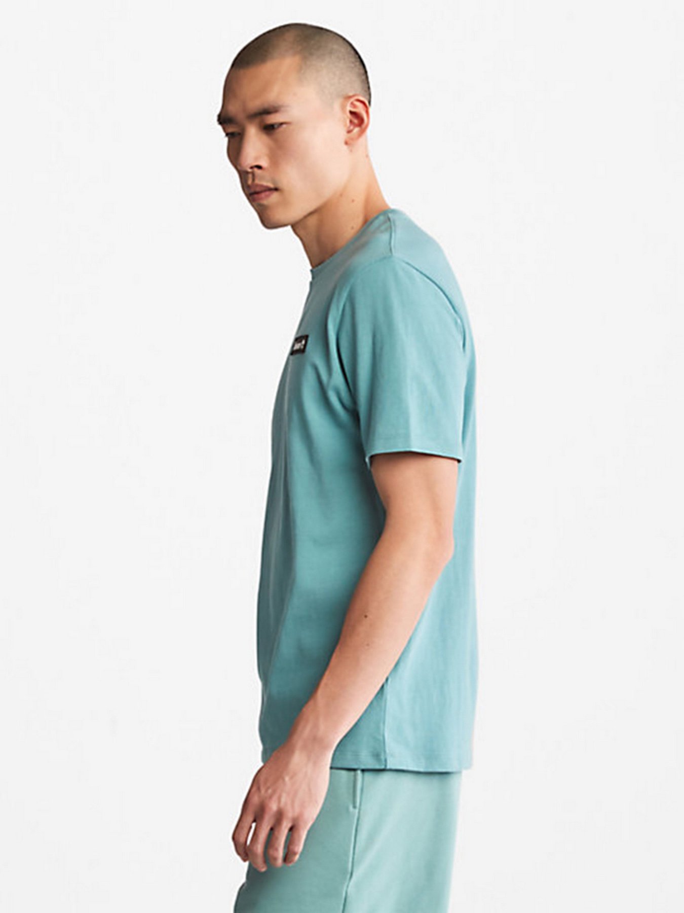 Футболки и поло Timberland Heavyweight Badge модель TB0A26S7G99 Футболки и поло Timberland Heavyweight Badge модель TB0A26S7G99 Фото