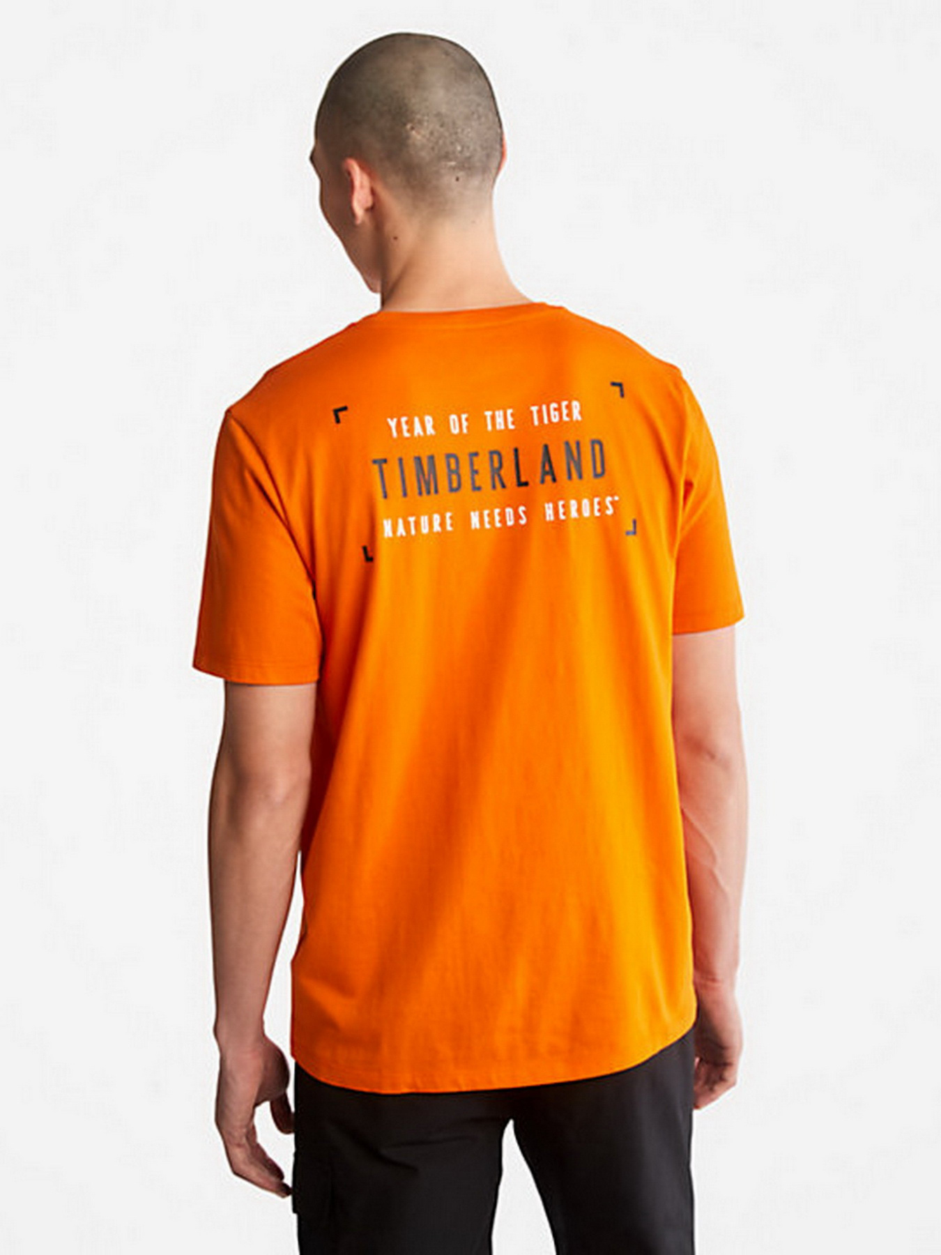 Футболка Timberland Year Of The Tiger модель TB0A27GPU37 Фото