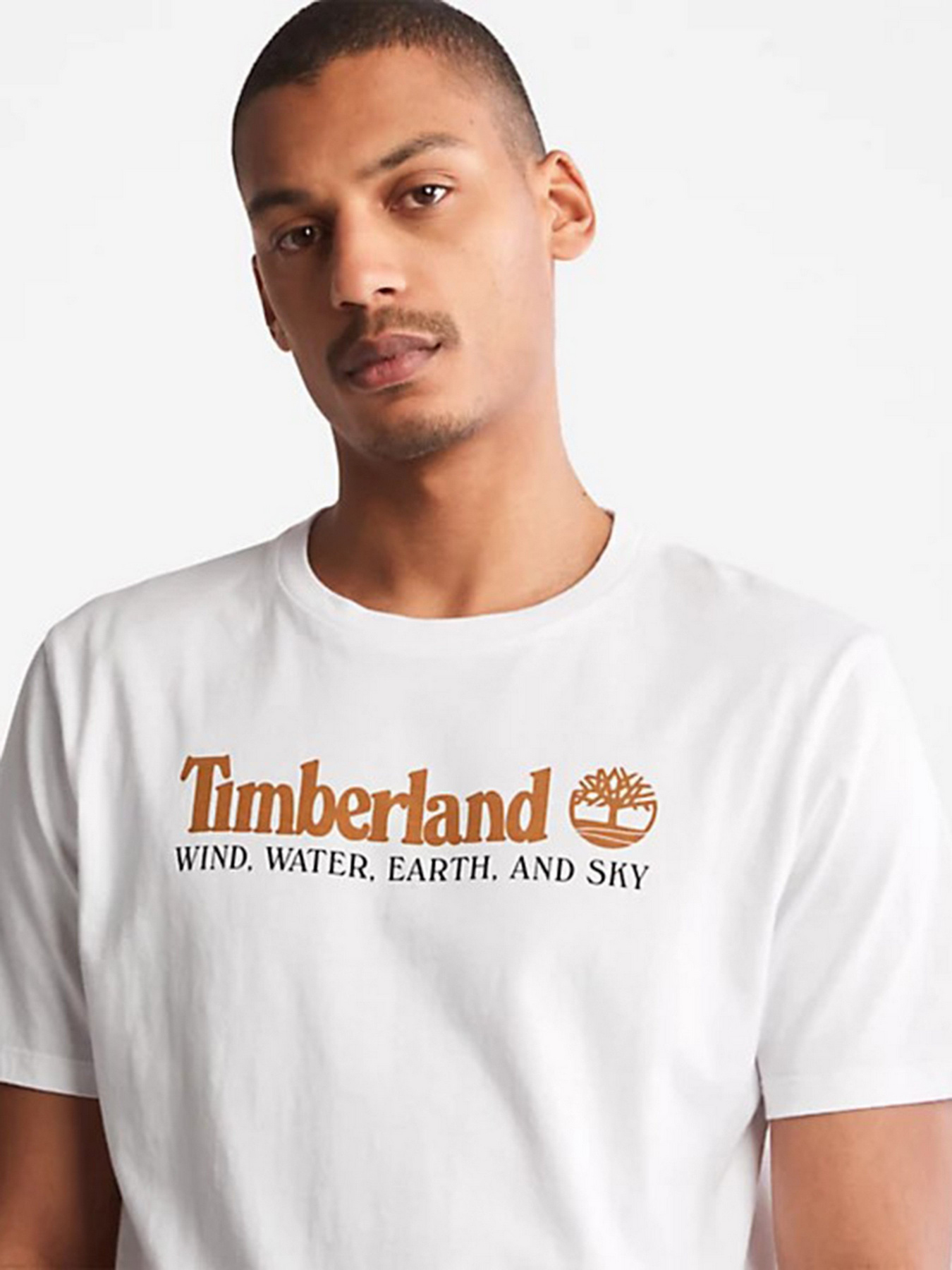 Футболка Timberland Front Graphic модель TB0A27J8100 Фото