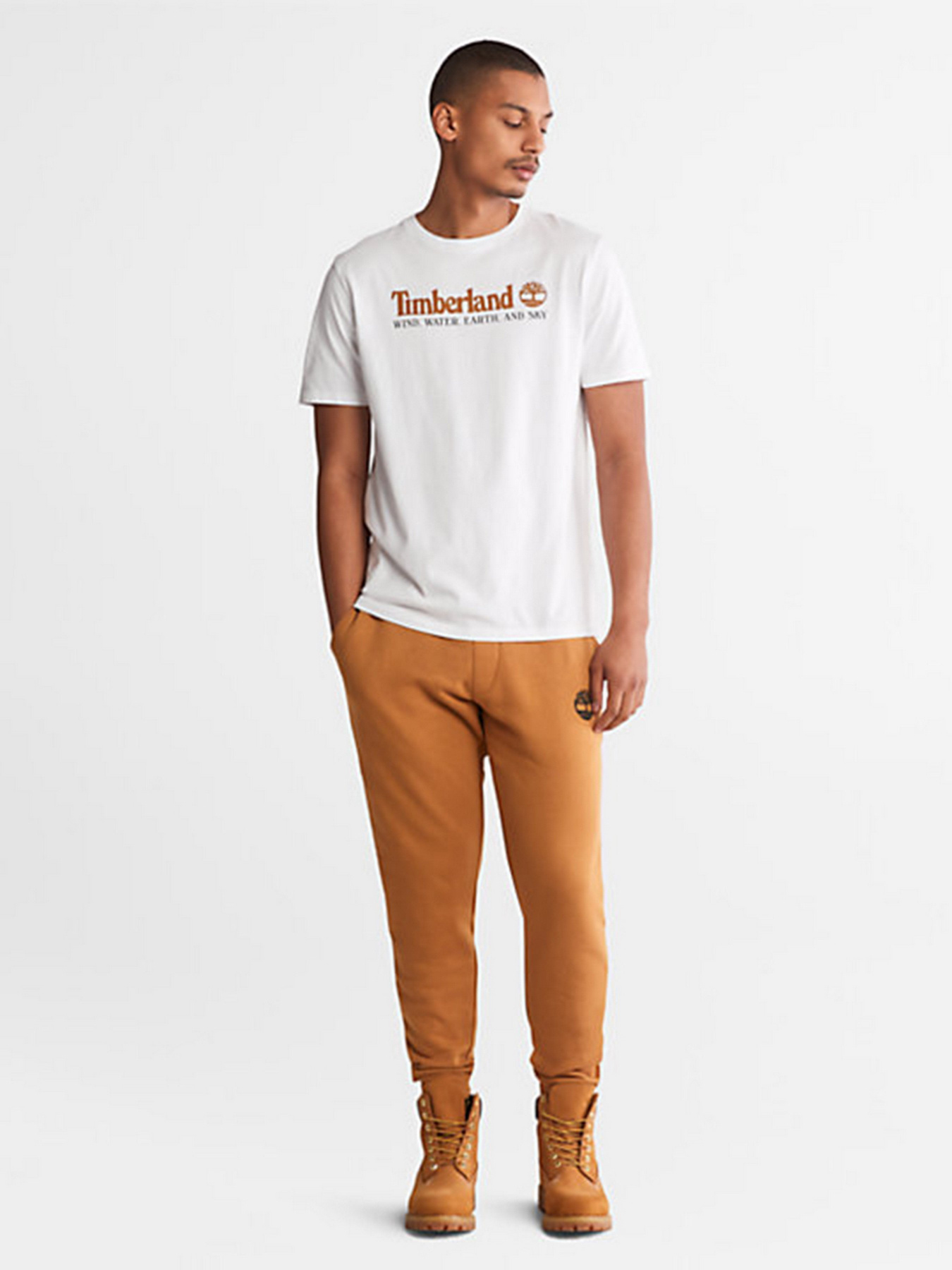 Футболка Timberland Front Graphic модель TB0A27J8100 Фото