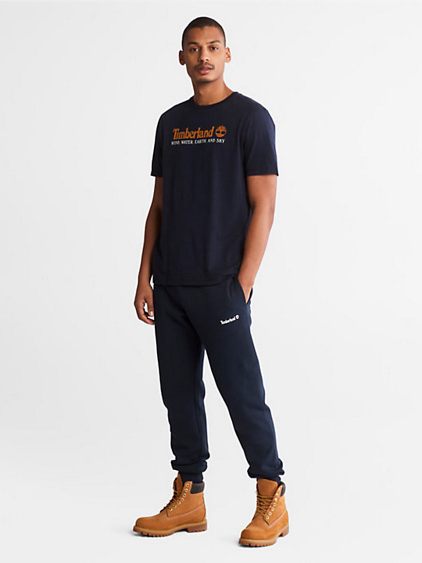 Футболка Timberland Wind, Water, Earth And Sky™ модель TB0A27J8433 Фото