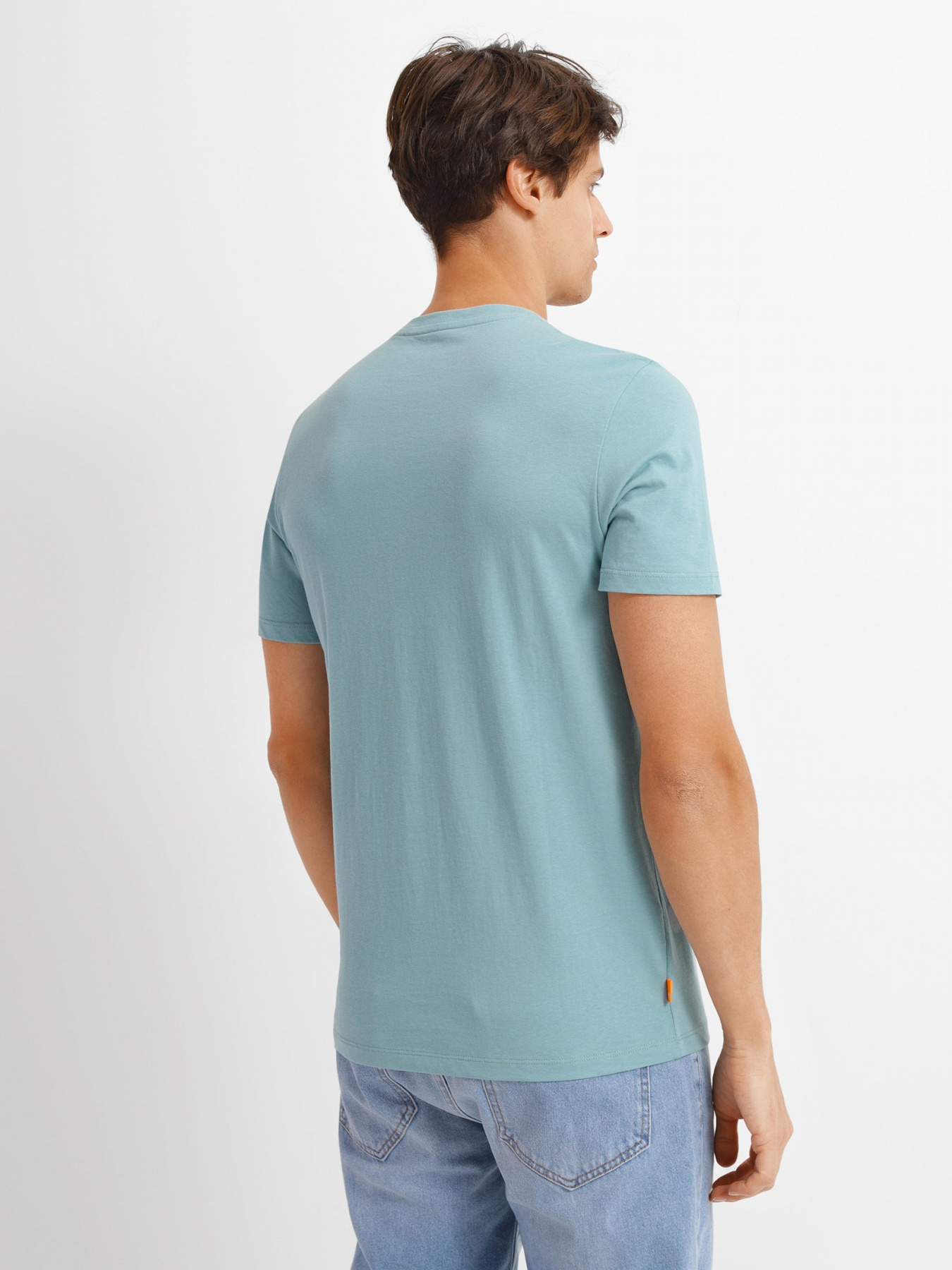 Футболки и поло Timberland Tree Logo модель TB0A2AJ1CN9 Фото