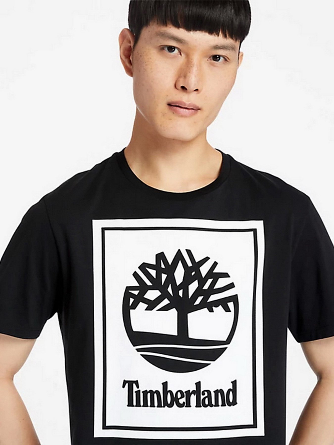 Футболки и поло Timberland Tree Logo модель TB0A2AJ1N92 Фото