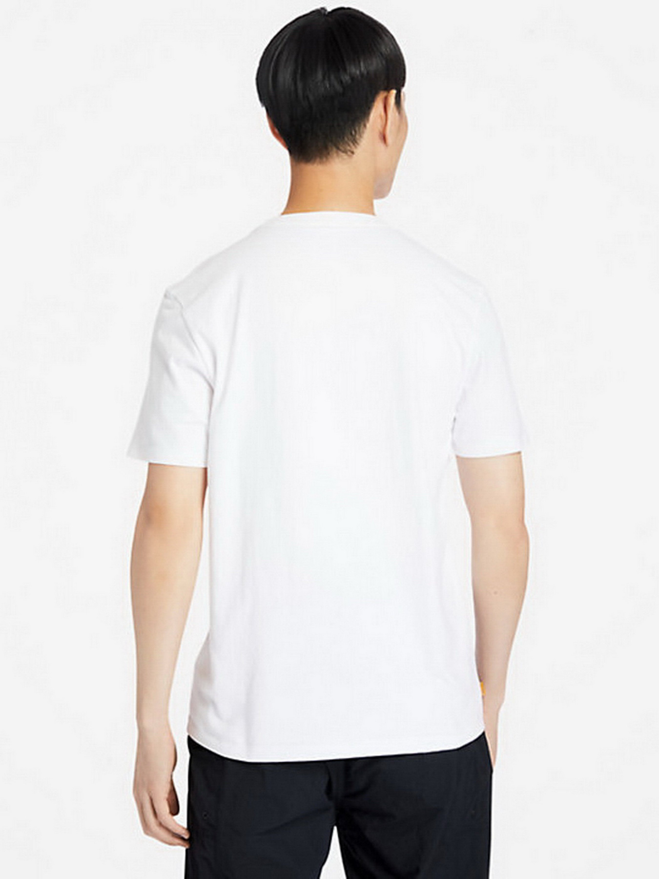 Футболка Timberland Tree Logo модель TB0A2AJ1P54 Фото