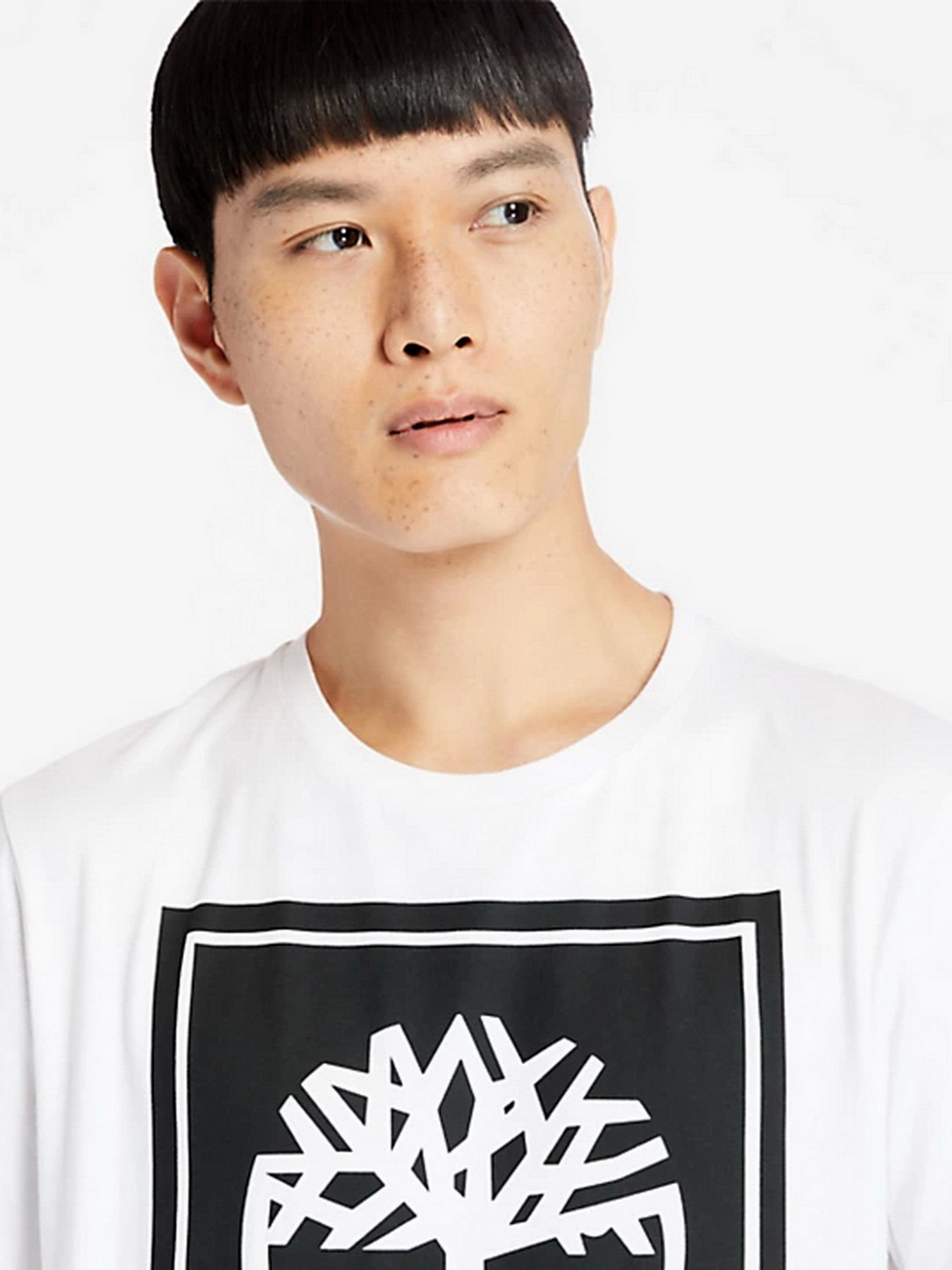 Футболка Timberland Tree Logo модель TB0A2AJ1P54 Фото