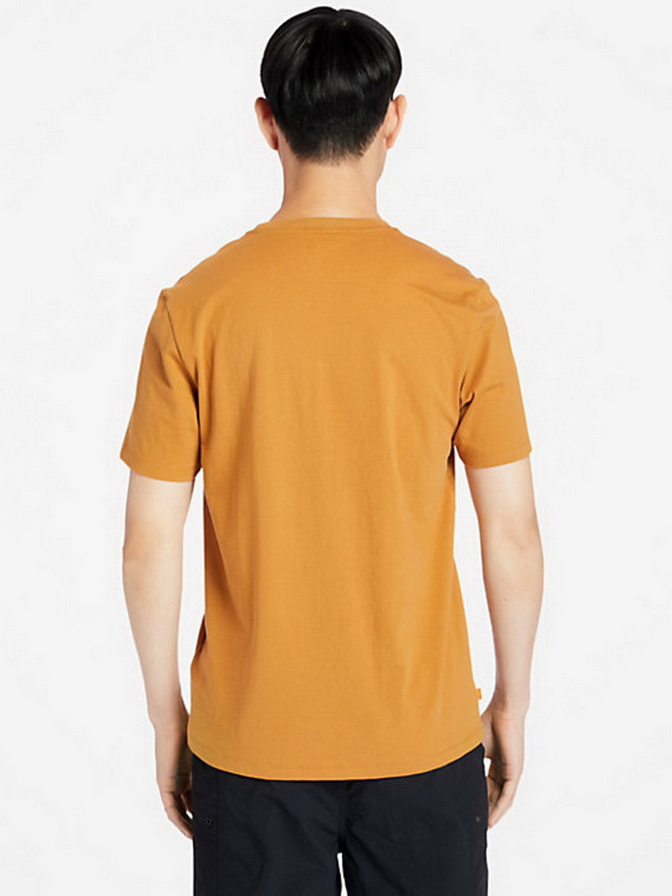 Футболки и поло Timberland Tree Logo модель TB0A2AJ1P57 Фото