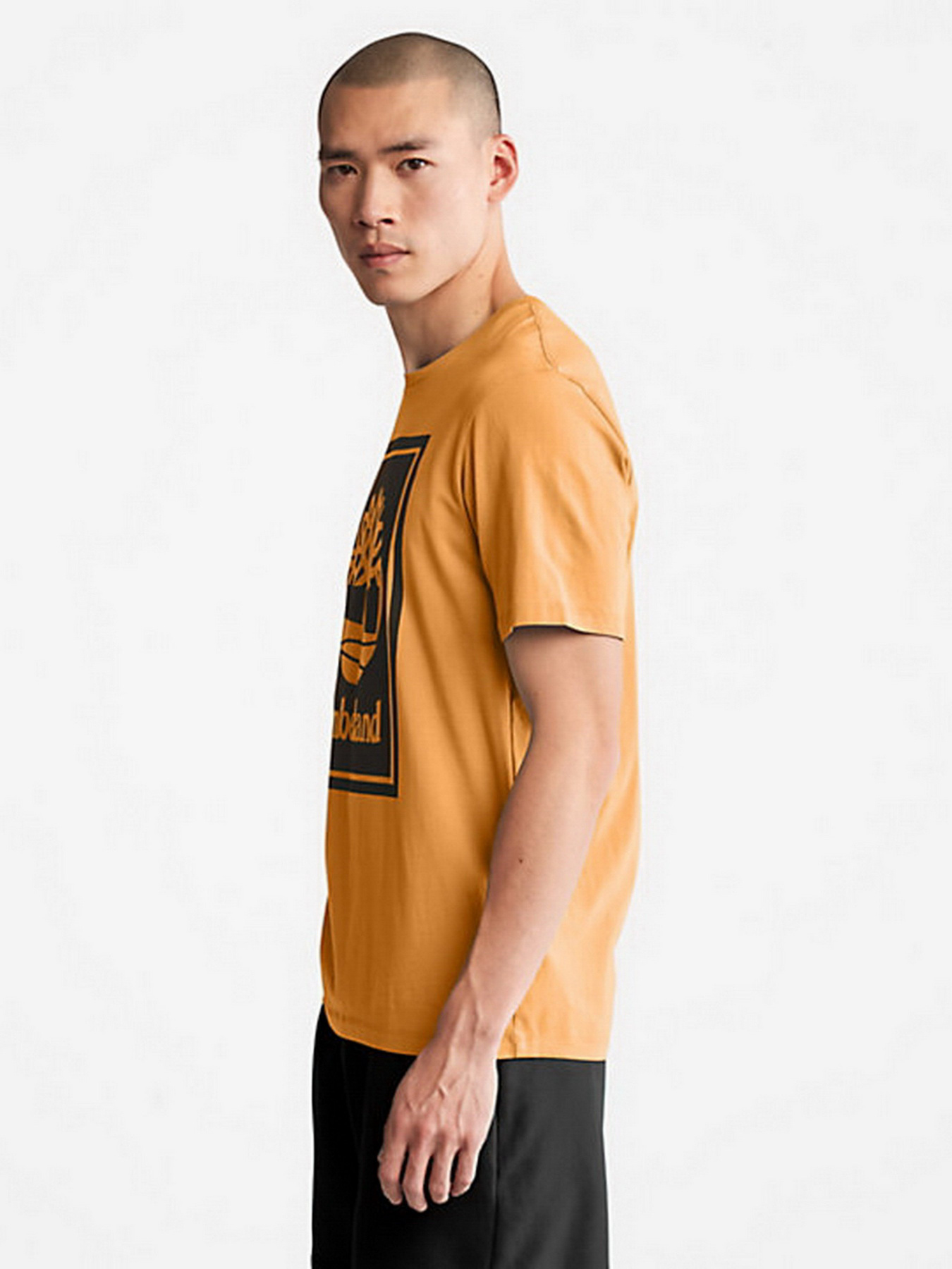 Футболки и поло Timberland Tree Logo модель TB0A2AJ1P57 Фото