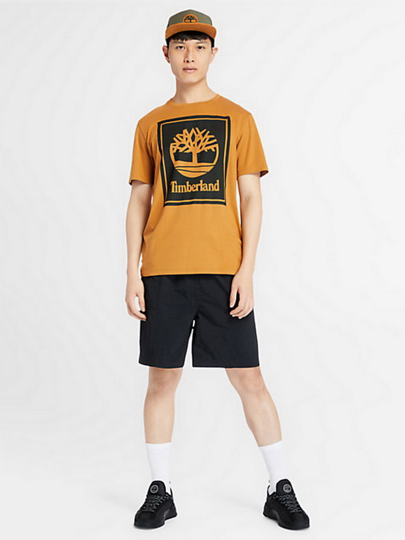 Футболки и поло Timberland Tree Logo модель TB0A2AJ1P57 Фото