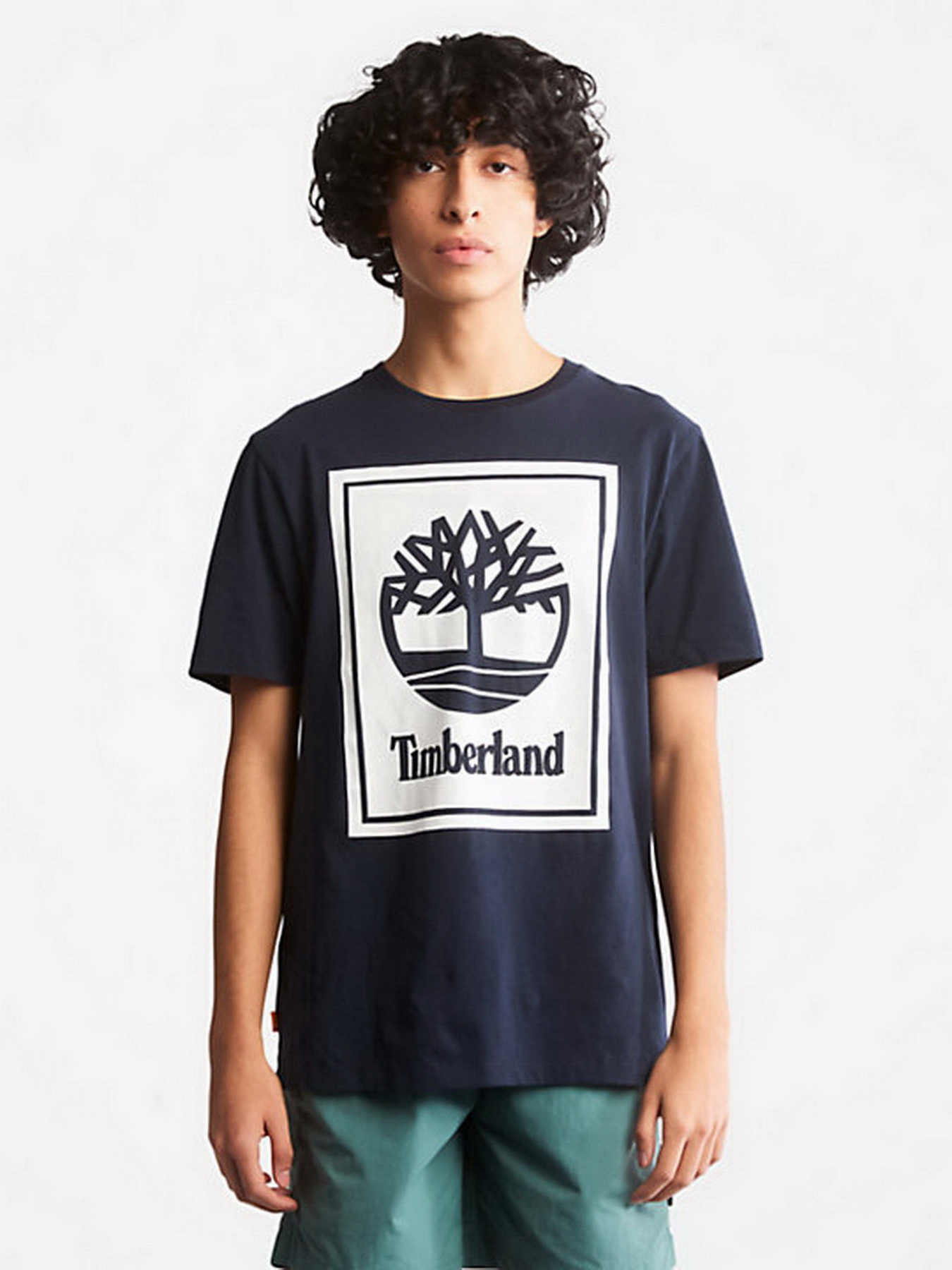 Футболки и поло Timberland Tree Logo модель TB0A2AJ1U10 Фото