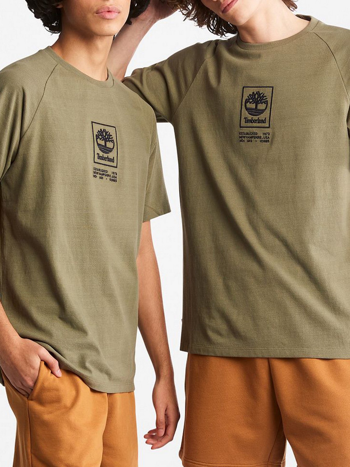 Футболка Timberland модель TB0A2DVY590 Фото