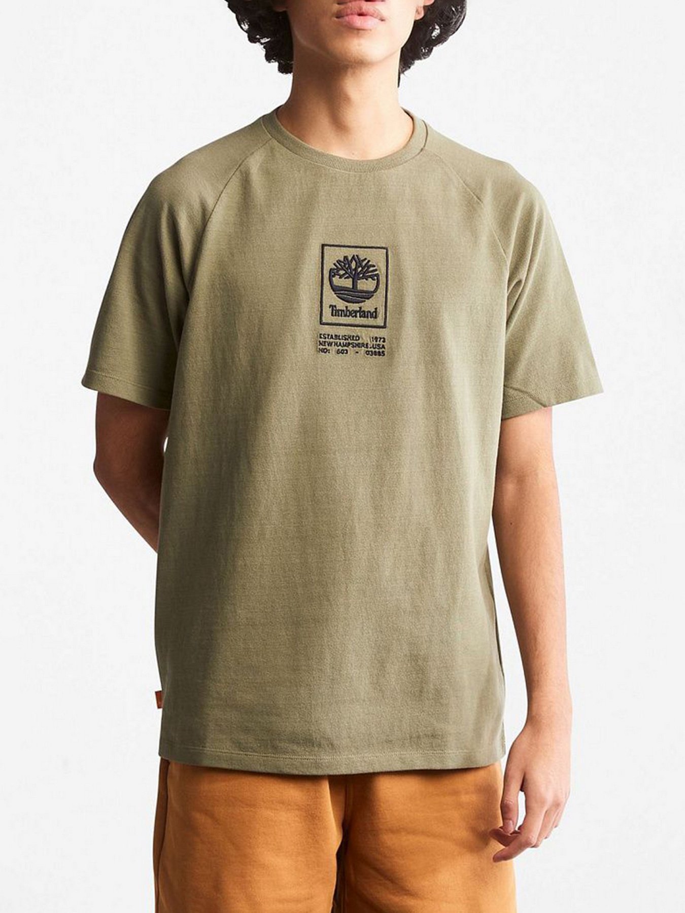 Футболка Timberland модель TB0A2DVY590 Фото