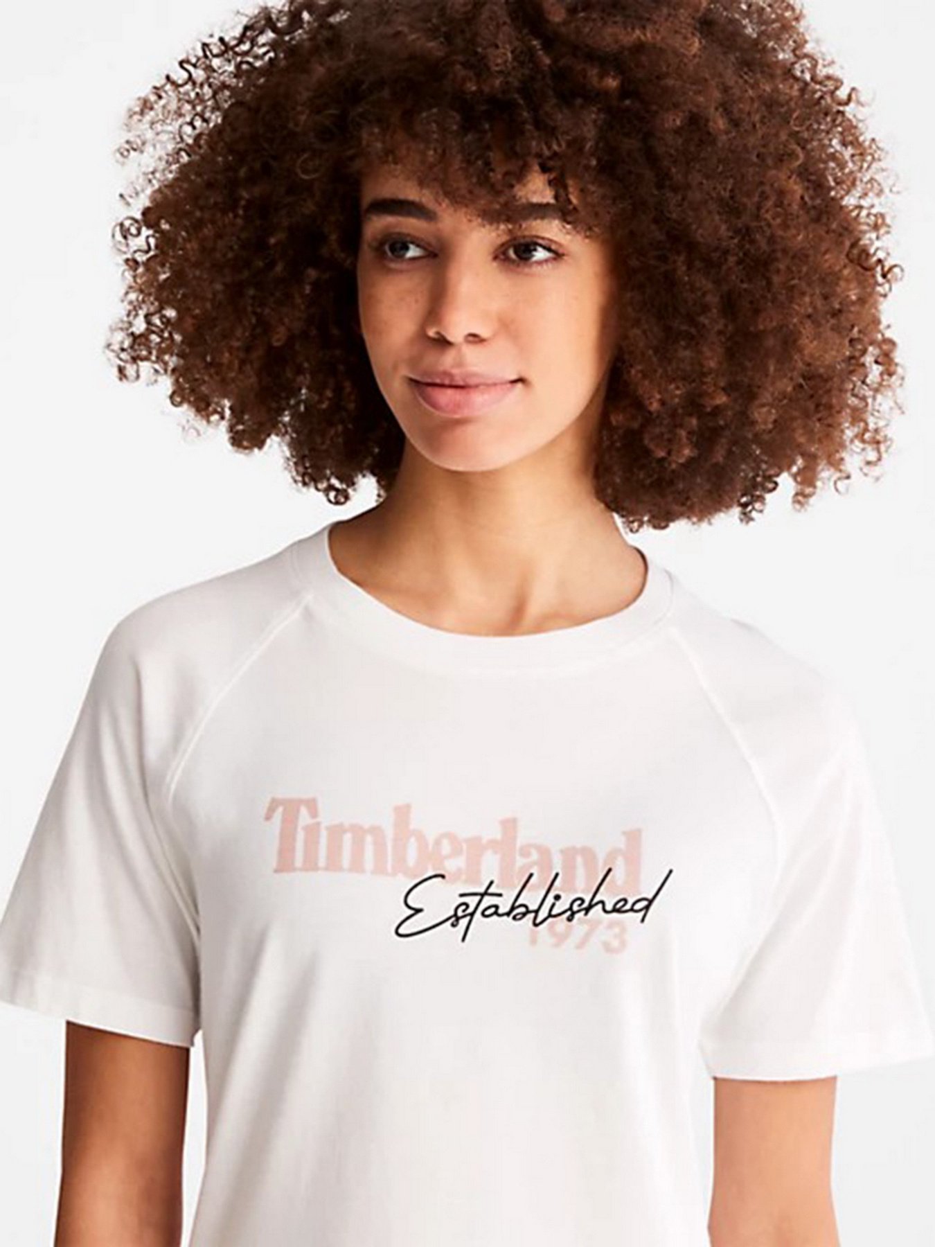 Футболка Timberland Established 1973 модель TB0A42E2100 Фото