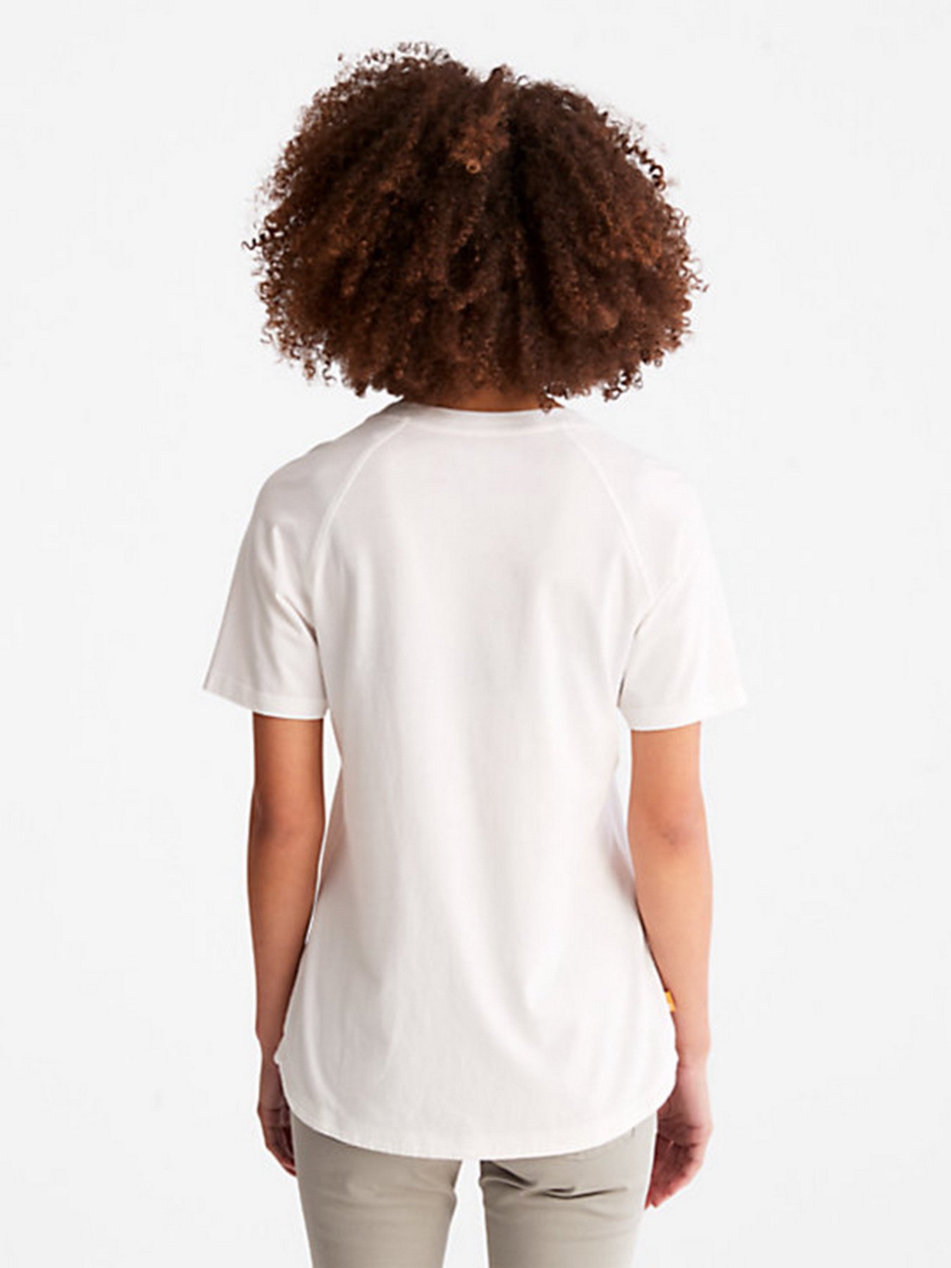 Футболка Timberland Established 1973 модель TB0A42E2100 Фото