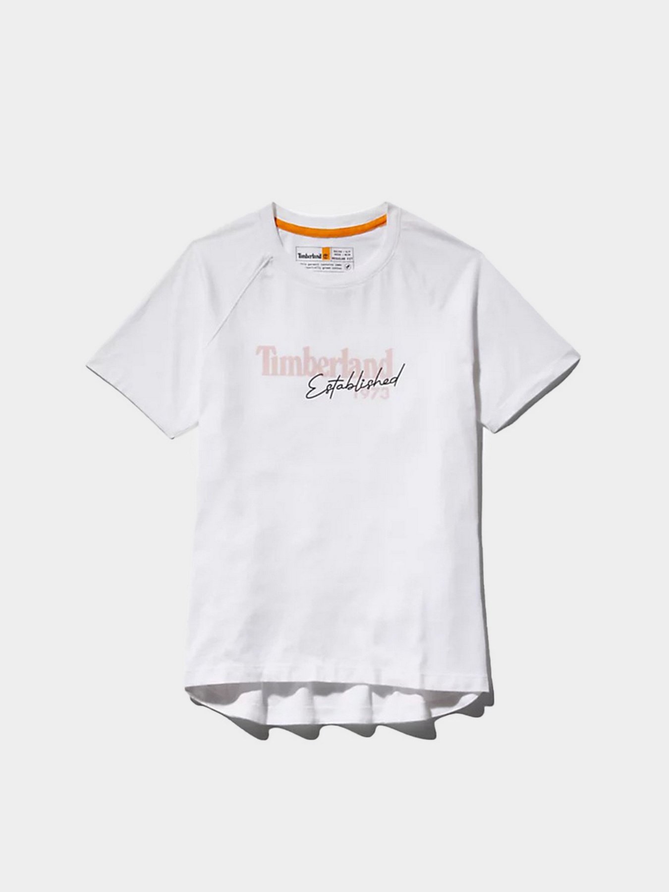 Футболка Timberland Established 1973 модель TB0A42E2100 Фото