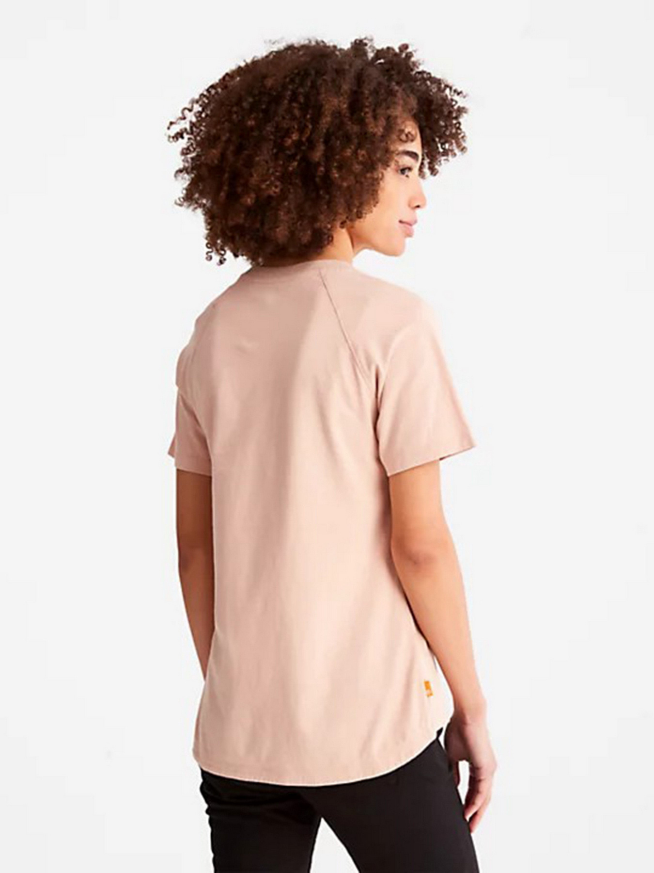 Футболки и поло Timberland Established 1973 модель TB0A42E2662 Фото