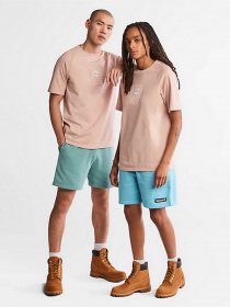 Футболки и поло Timberland Stacked Logo for All Gender модель TB0A2DVY662 Фото