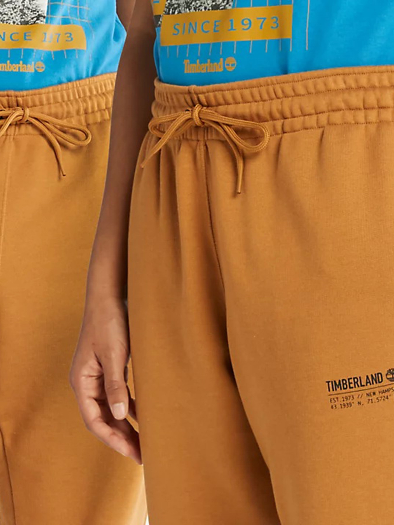 Спортивні штани Timberland Comfort Luxe Essential модель TB0A5UHNP47 Фото