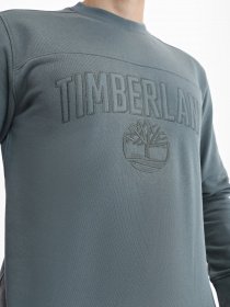 Свитшот Timberland Outdoor Heritage EK+ модель TB0A2MA3392 Фото