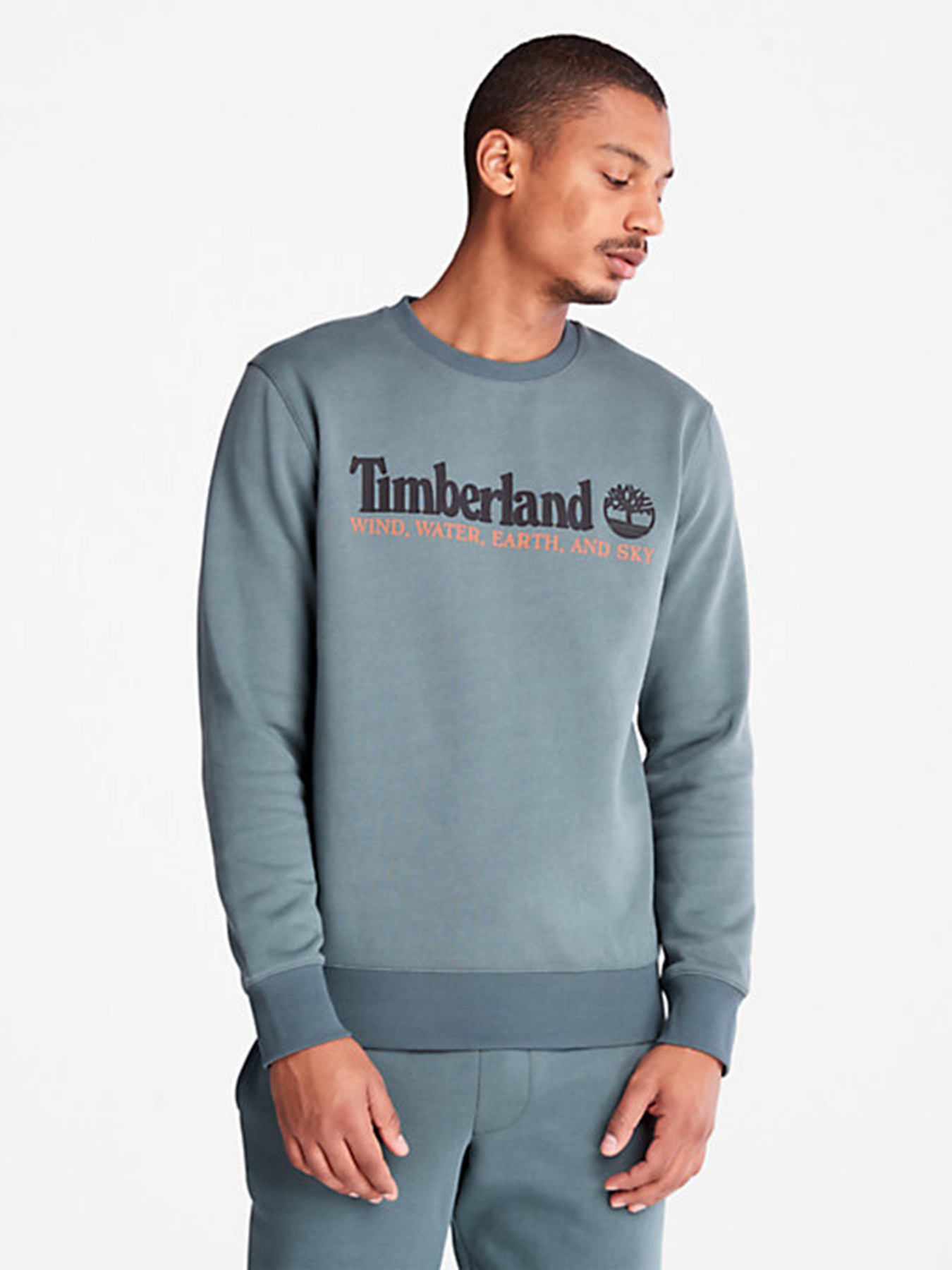 Свитшот Timberland Wind, Water, Earth And Sky Crewneck модель TB0A27HC392 Фото