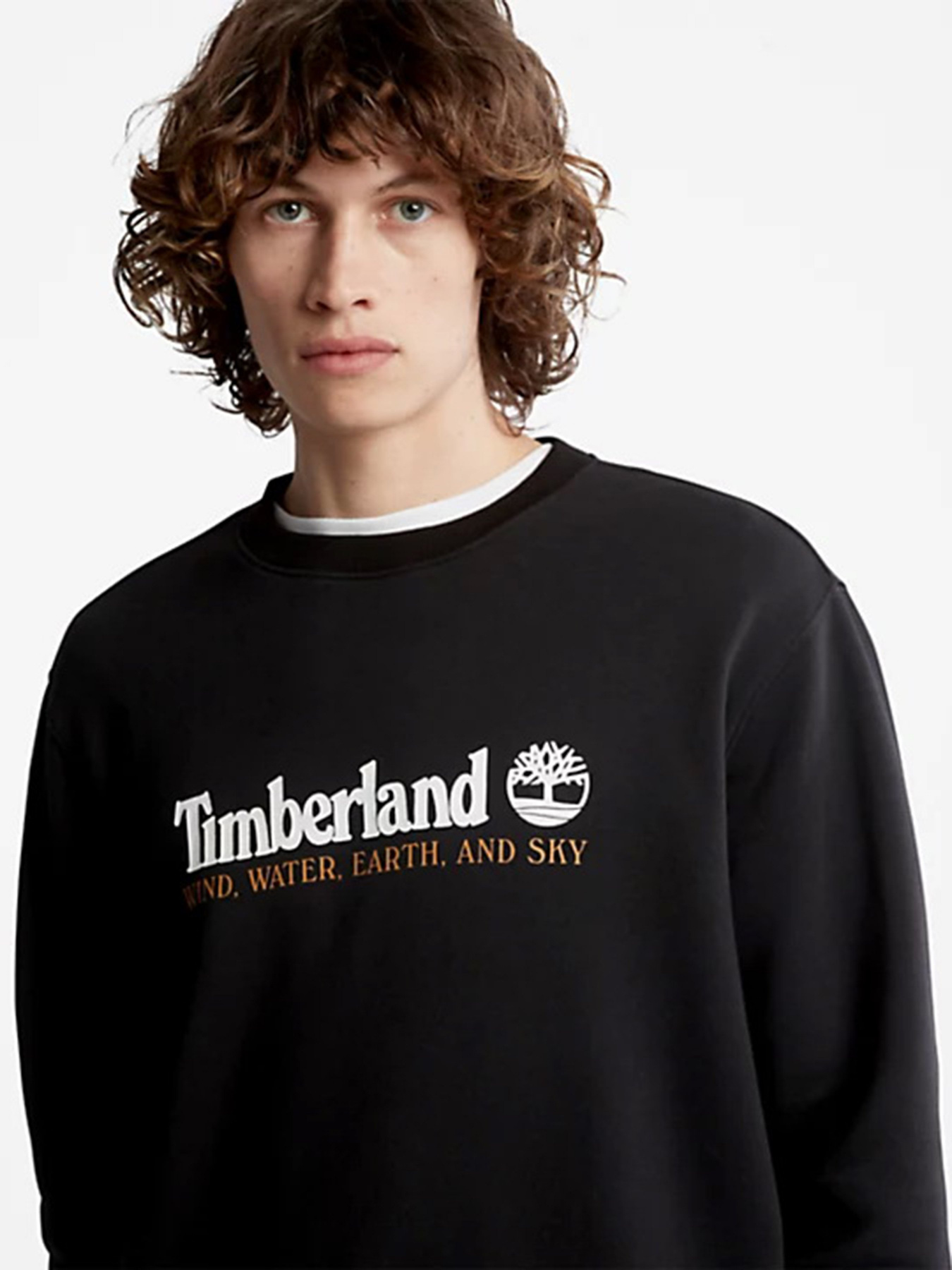 Свитшот Timberland Wind, Water, Earth and Sky™ модель TB0A27HC001 Фото