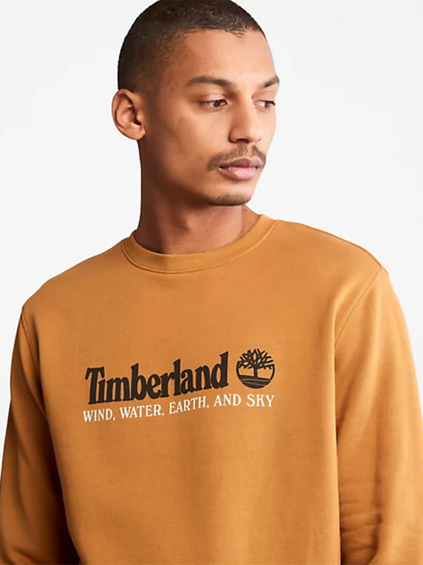 Свитшот Timberland Wind, Water, Earth and Sky™ модель TB0A27HCP47 Фото