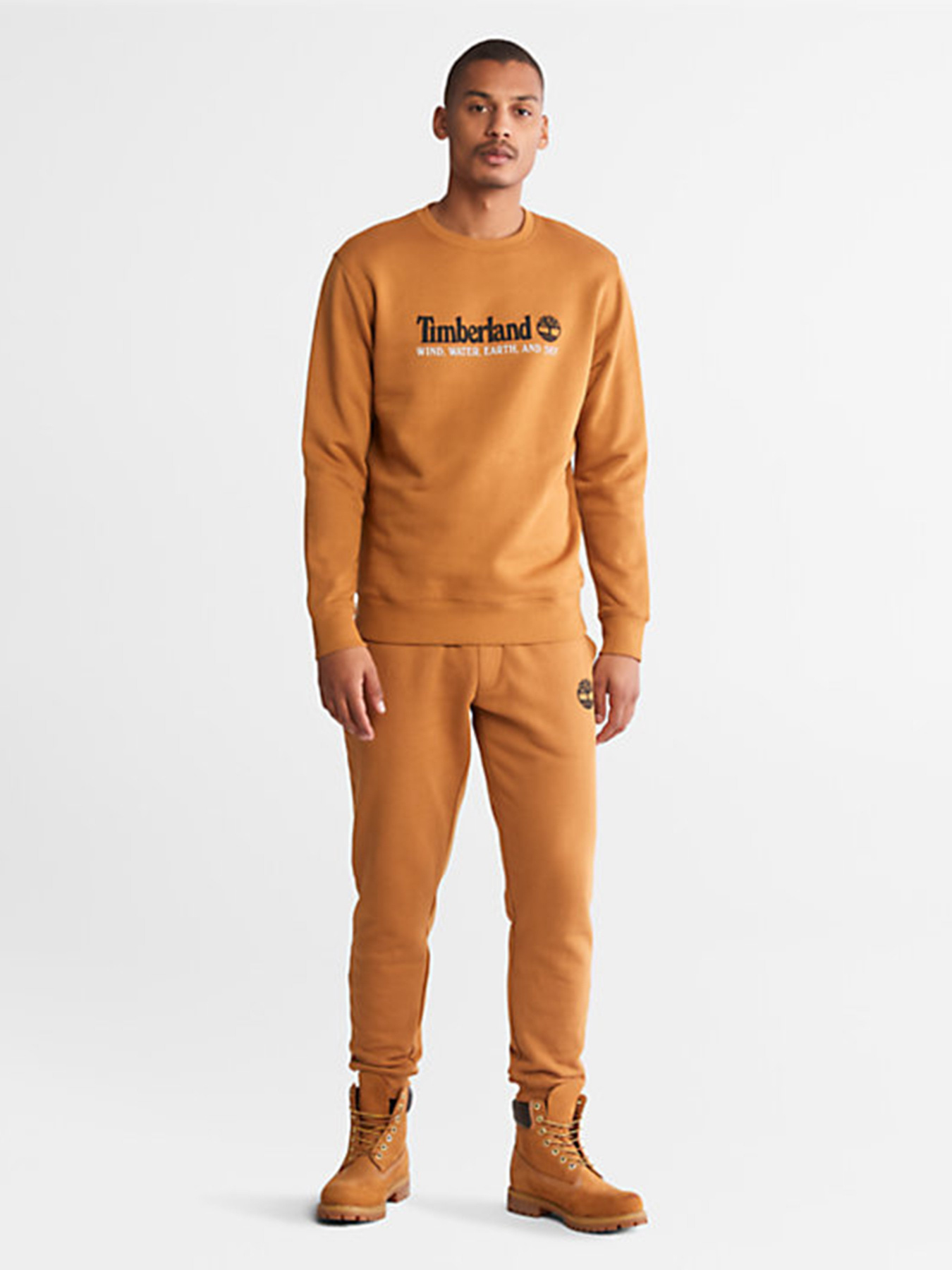 Свитшот Timberland Wind, Water, Earth and Sky™ модель TB0A27HCP47 Фото