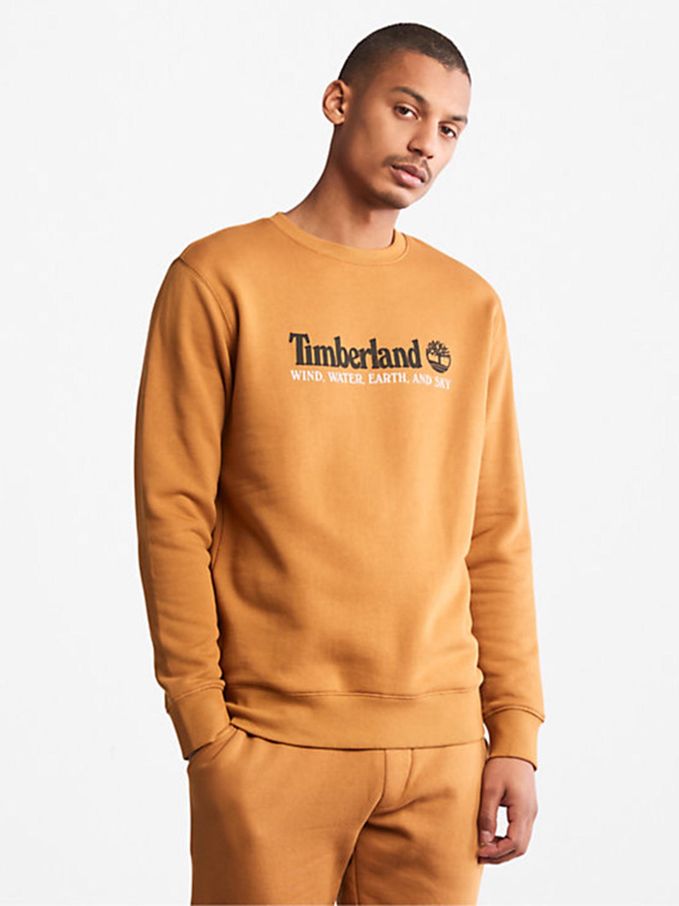 Свитшот Timberland Wind, Water, Earth and Sky™ модель TB0A27HCP47 Фото