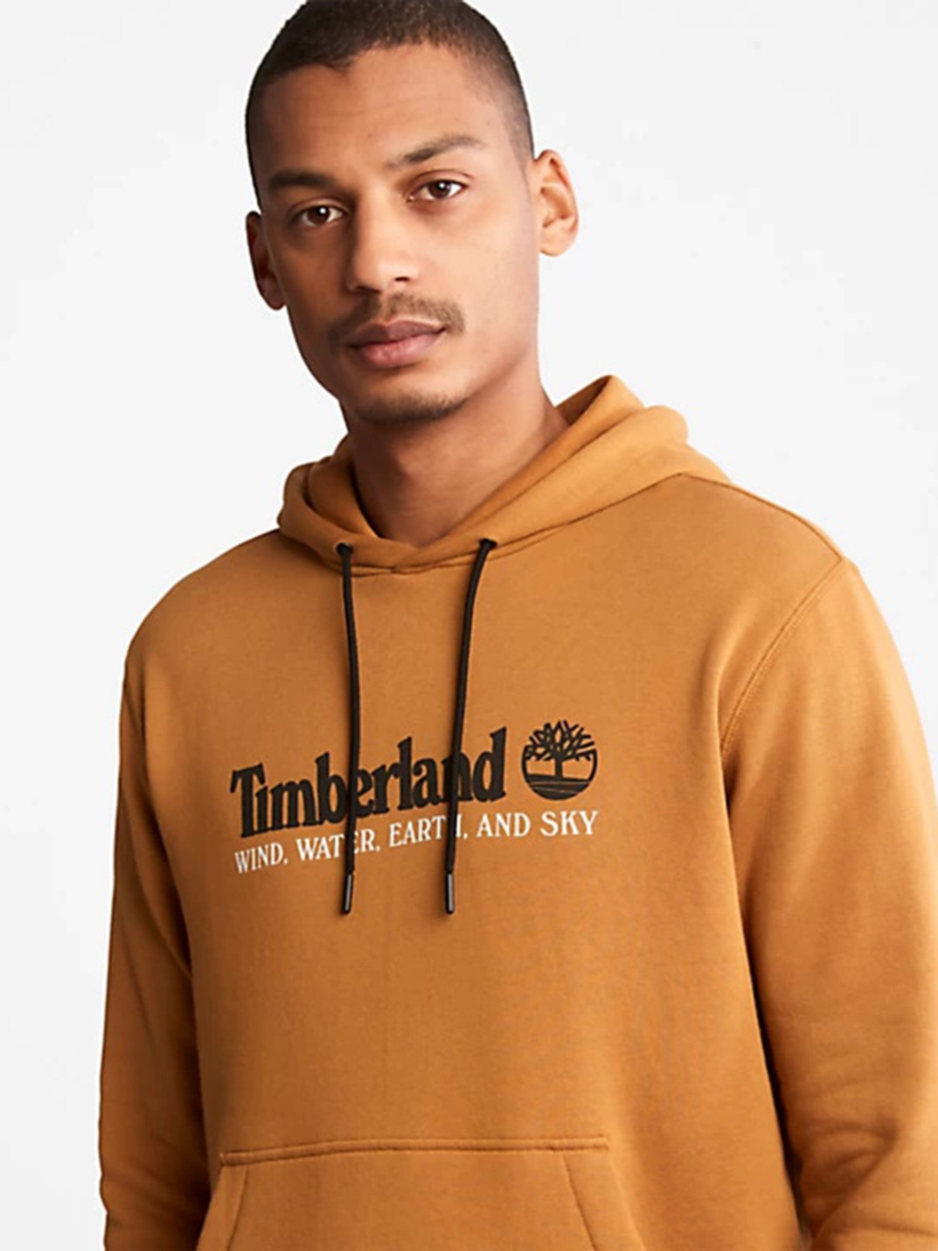 Худи Timberland Wind, Water, Earth, and Sky модель TB0A27HNP47 Фото