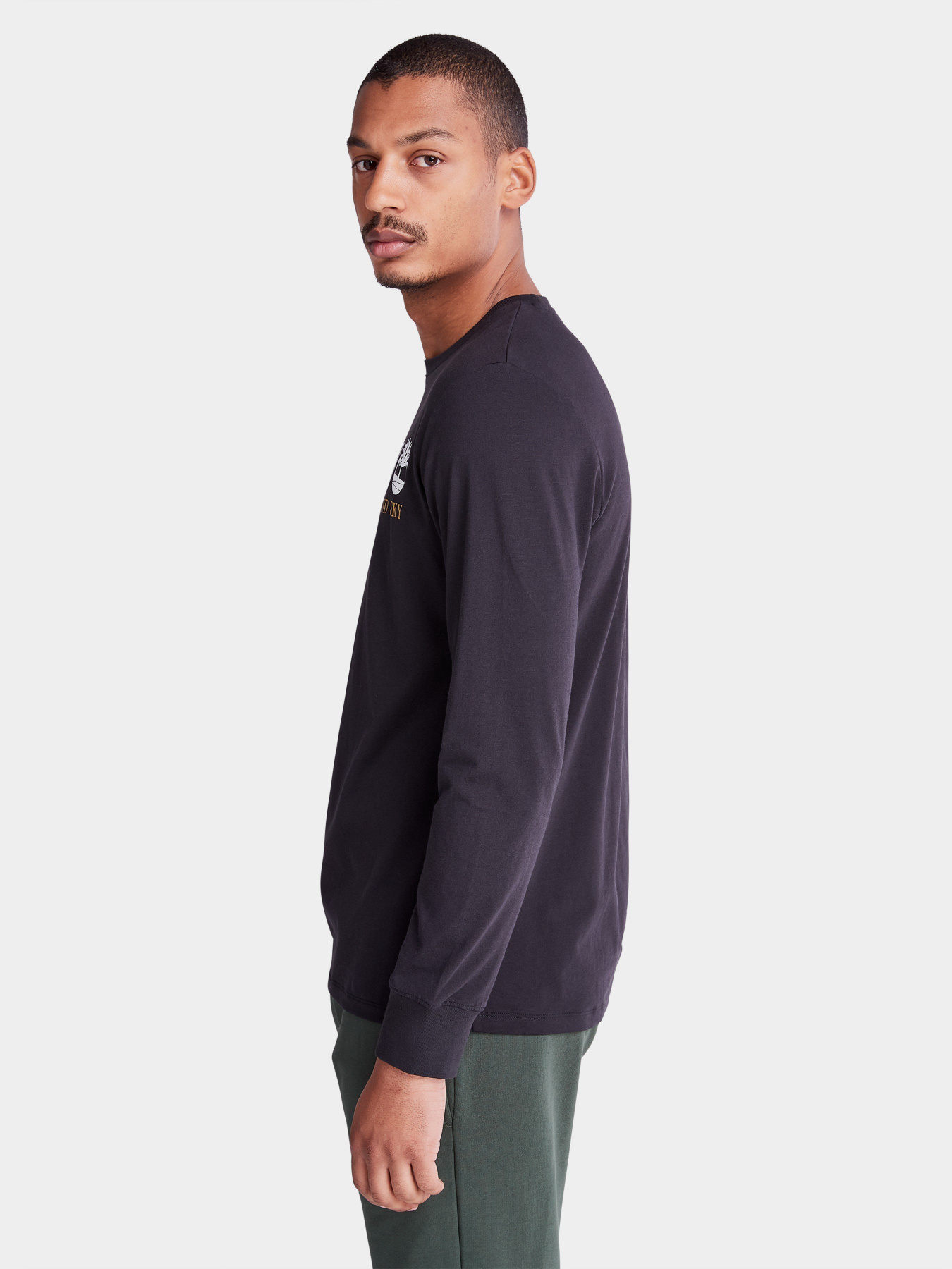 Лонгслів Timberland Wind, Water, Earth And Sky модель TB0A5VM1001 Фото