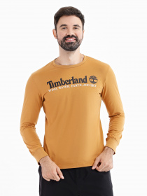 Лонгслив Timberland Wind, Water, Earth And Sky модель TB0A5VM1P47 Фото