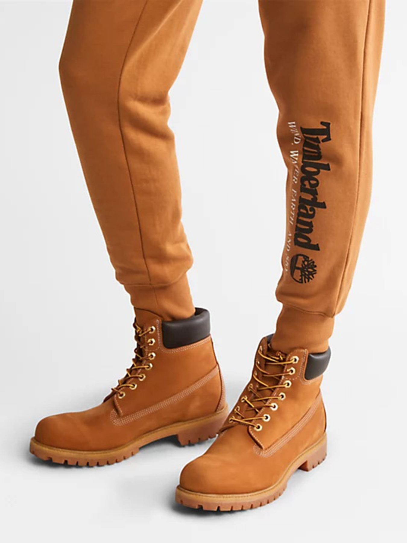 Штаны спортивные Timberland Wind, Water, Earth, And Sky Tracksuit Bottoms модель TB0A27HYP47 Фото