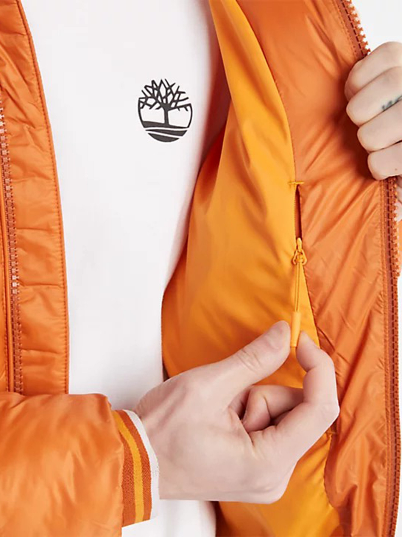 Демісезонна куртка Timberland Garfield модель TB0A2GA1643 Фото