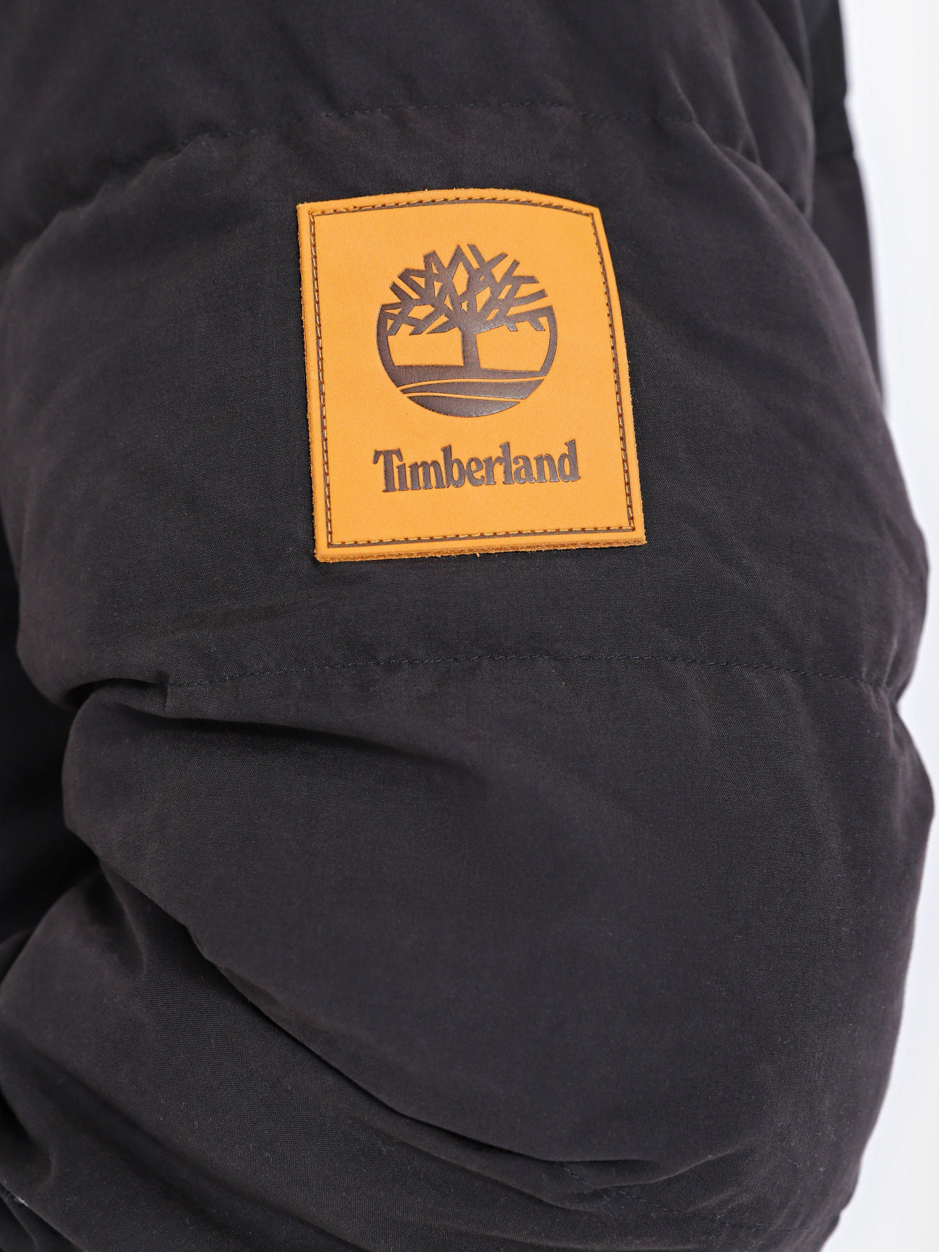 Зимова куртка Timberland WELCH MOUNTAIN модель TB0A5XTN001 Фото