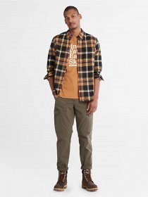 Карго Timberland Core Twill модель TB0A22PGA5832 Фото