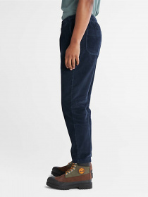 Брюки повседневные Timberland Corduroy модель TB0A5XAD43332 Фото