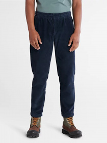 Брюки повседневные Timberland Corduroy модель TB0A5XAD43332 Фото