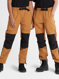 Джоггеры Timberland ALL GENDER модель TB0A5V9DP47 Фото