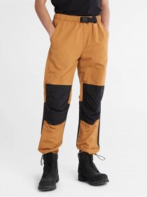 Джоггеры Timberland ALL GENDER модель TB0A5V9DP47 Фото